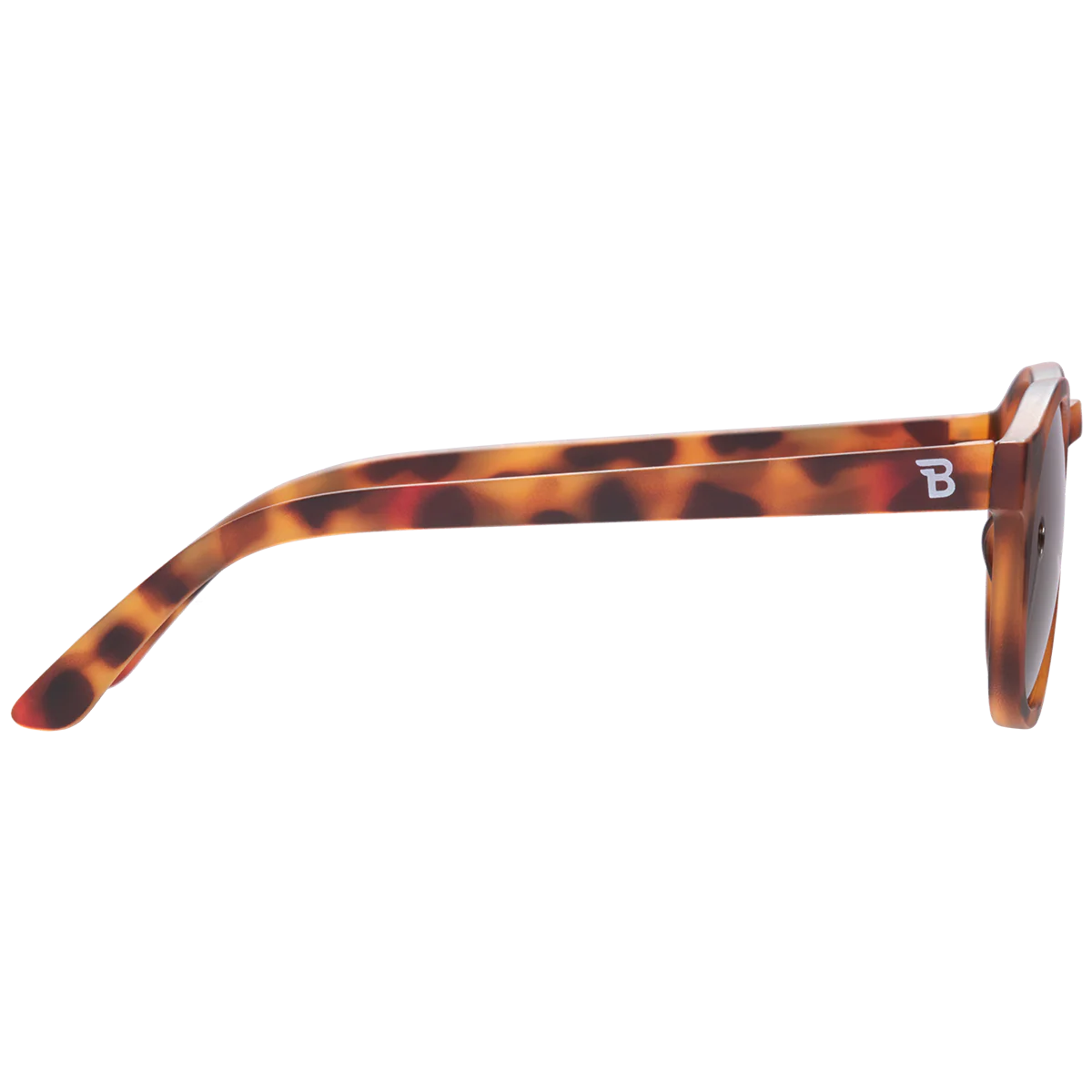 Classic Tortoise Keyhole